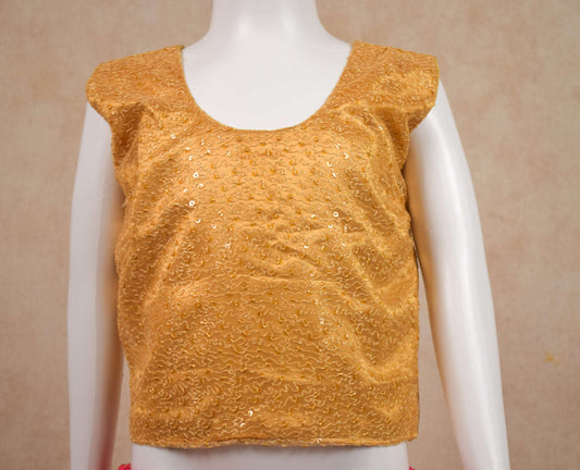 Designer Net Top and Brocade Skirt Lehenga - Kanhasarees by ksds