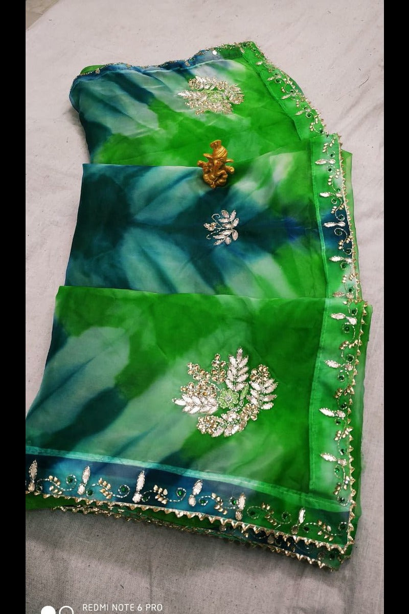 Organza Hand Work Saree - KANHASAREE