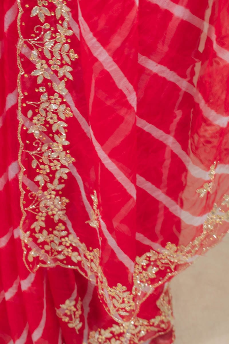 Pure Organza Silk Saree with Hand Work Gota Patti and Border - KANHASAREE