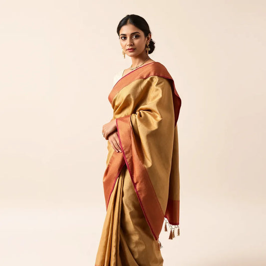 Woman draped in a Bollywood style saree with a neat pleated waist and detailed pallu in soft studio lighting