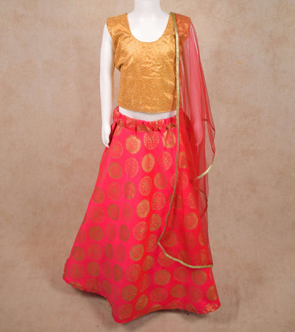 Designer Net Top and Brocade Skirt Lehenga - KANHASAREE